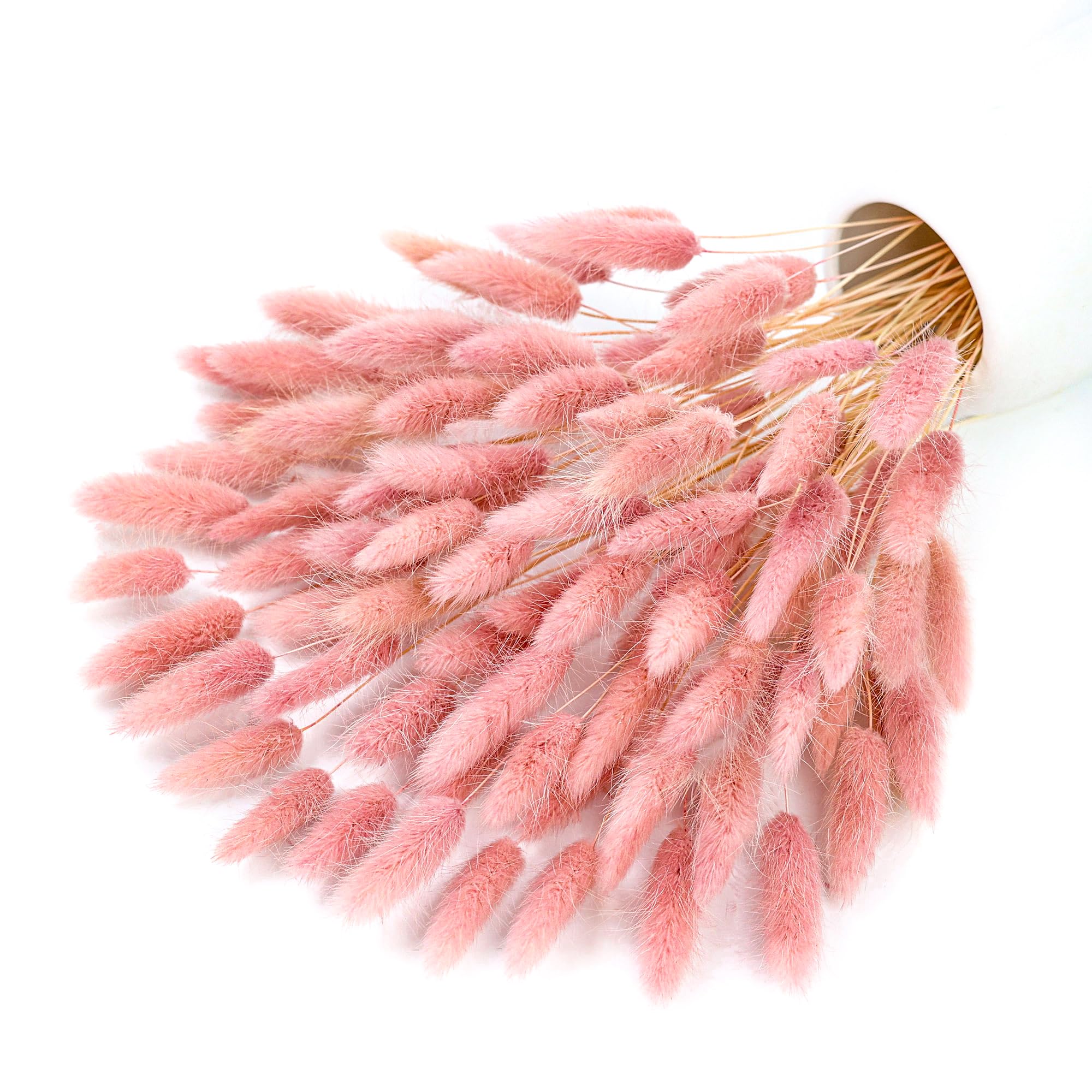 Pampas Grass Decor - 120 Stem Pink Dried Pampas Bunny