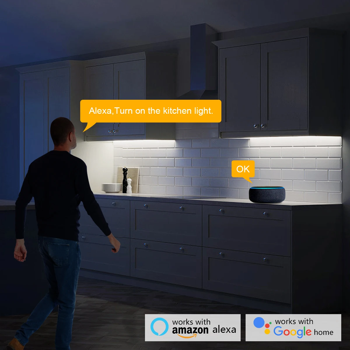 Smart Home Zigbee Tuya Voice C - Home Decor Free App recension och pris