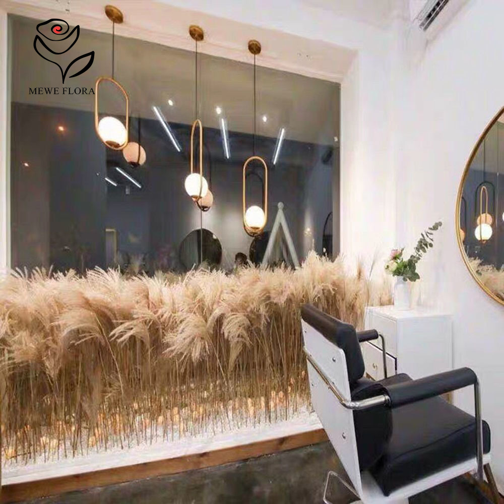 200PCS Natural Dried Fluffy Re - Pampas Grass Decor recension och pris