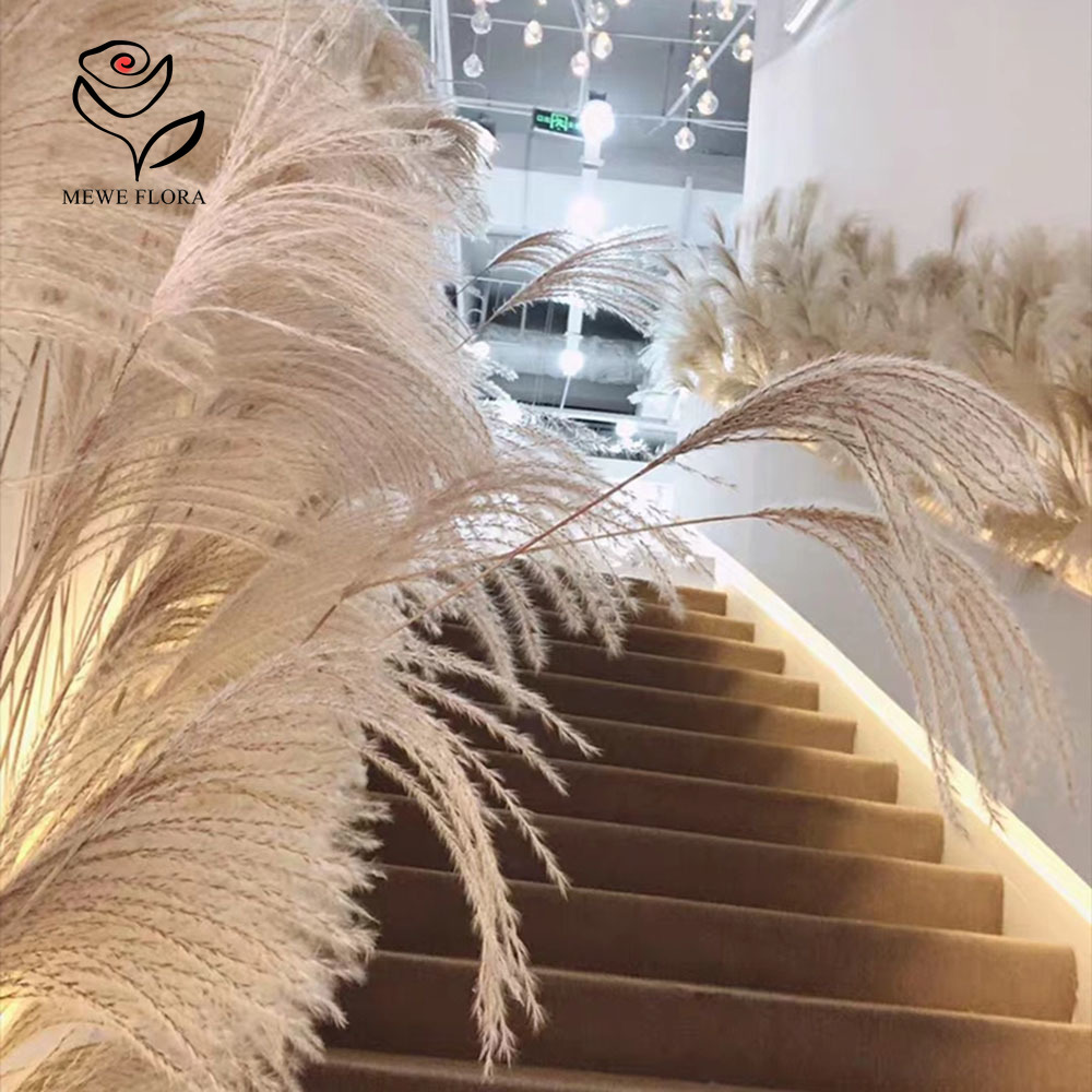 200PCS Natural Dried Fluffy Re - Pampas Grass Decor recension och pris