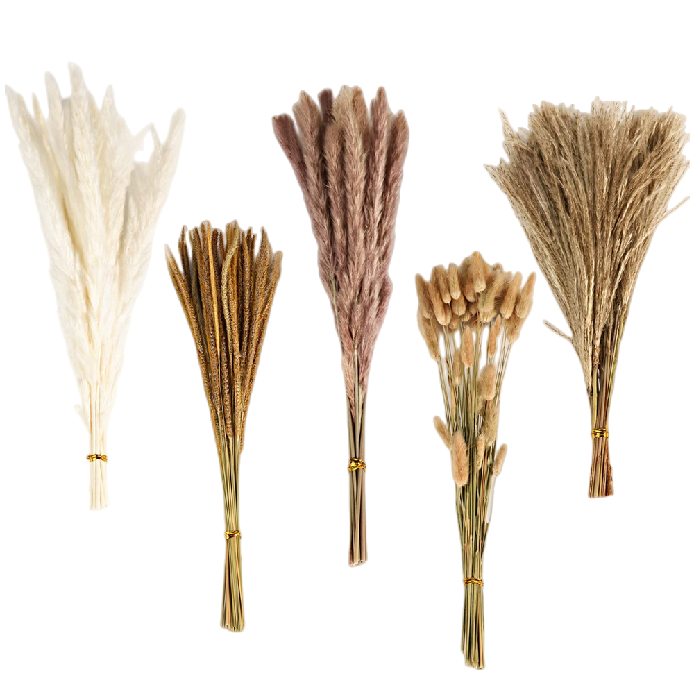 Autumn Vintage Mixed Dried Flo - Pampas Grass Decor recension och pris