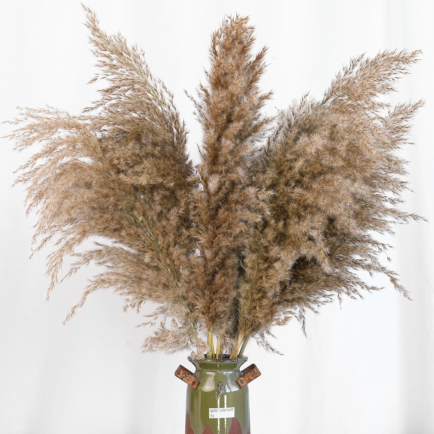 30PCS White Pampas Grass for H - Pampas Grass Decor recension och pris