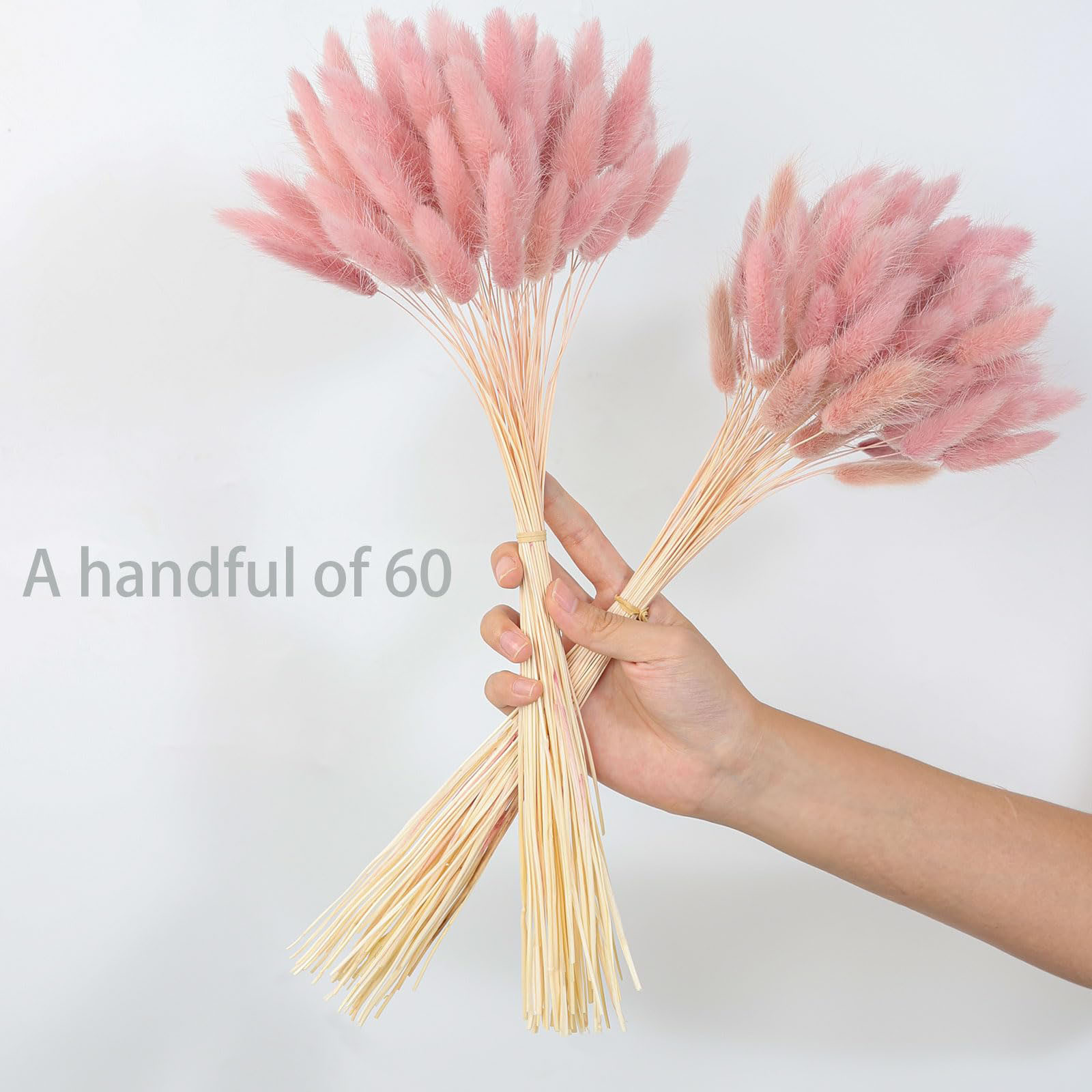 120 Stem Pink Dried Pampas Bun - Pampas Grass Decor recension och pris