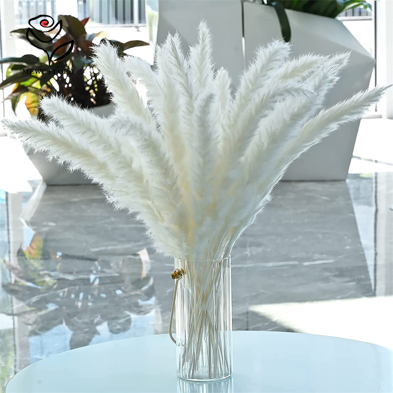 18 Stems Natural Dried Flowers - Pampas Grass Decor recension och pris