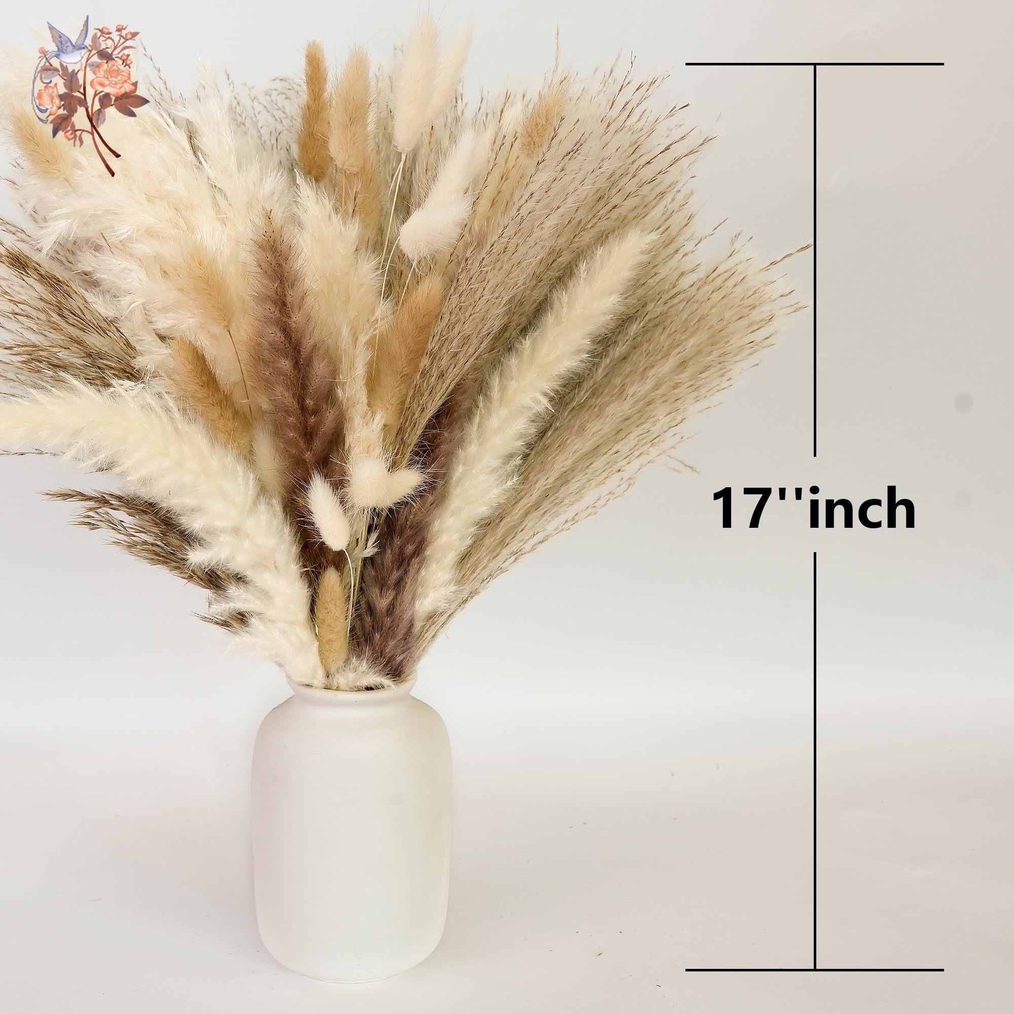 300Pcs Natural Large Pampas Gr - Pampas Grass Decor recension och pris