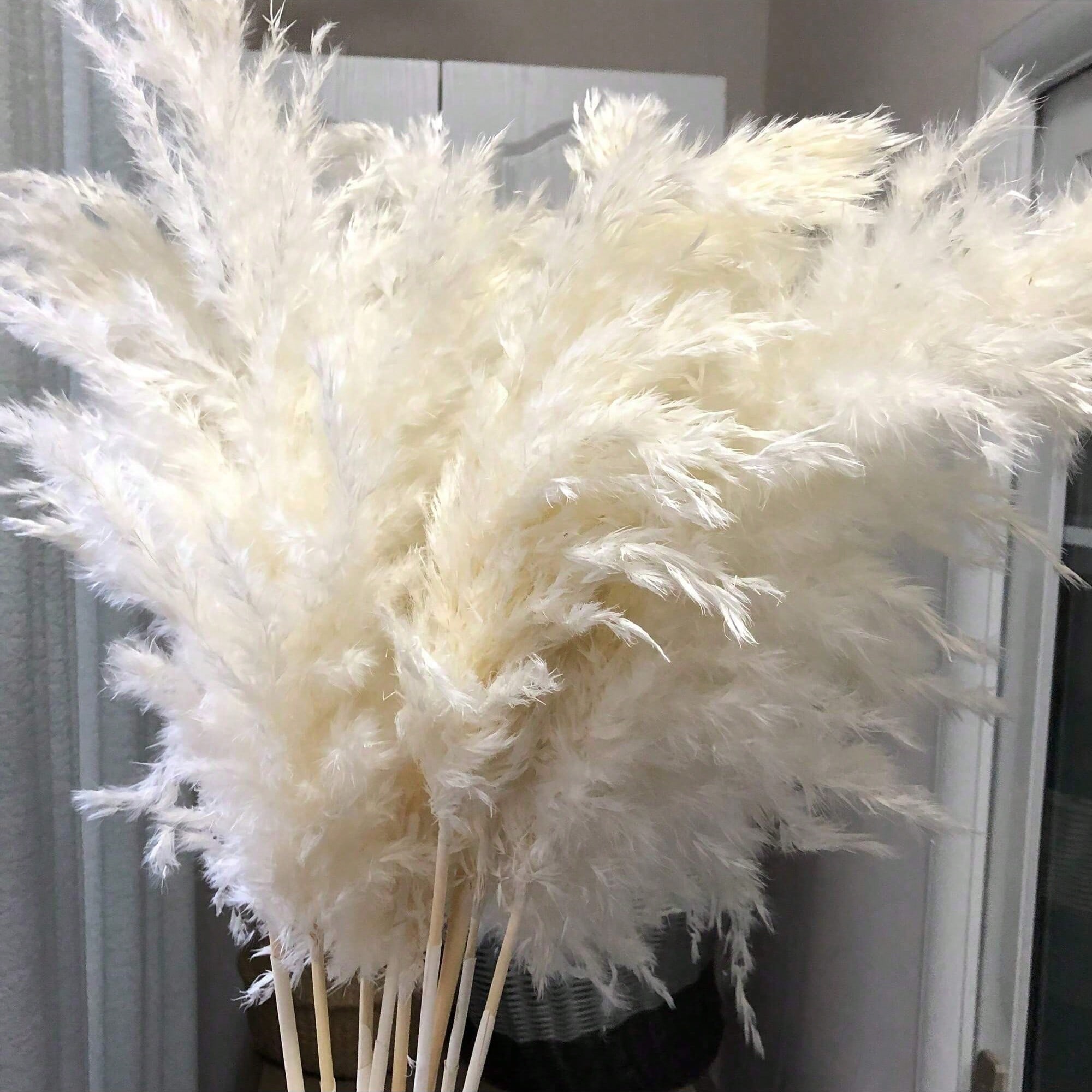 10/20/30pcs White Artificial P - Pampas Grass Decor recension och pris