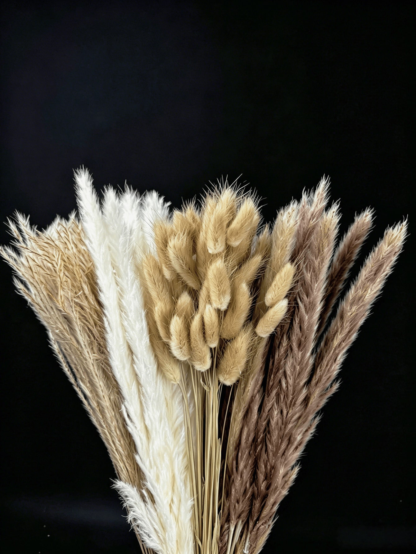 10/20/30pcs White Artificial P - Pampas Grass Decor recension och pris
