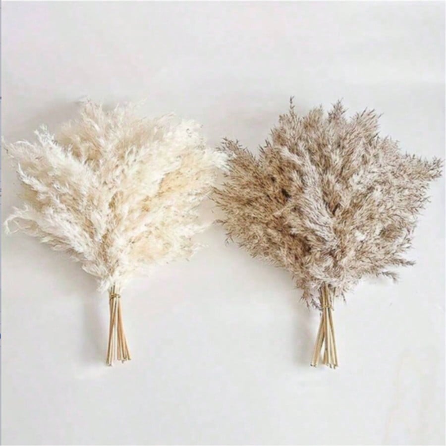 10/20/30pcs White Artificial P - Pampas Grass Decor recension och pris