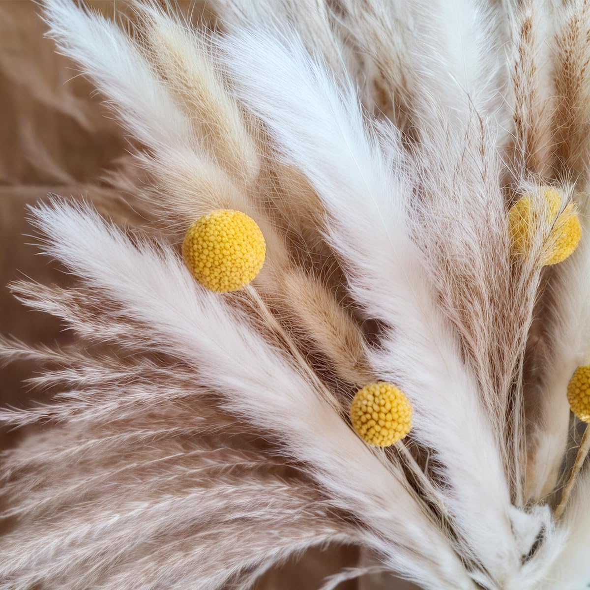 Dried Pampas Grass Bouquet Nat - Pampas Grass Decor recension och pris