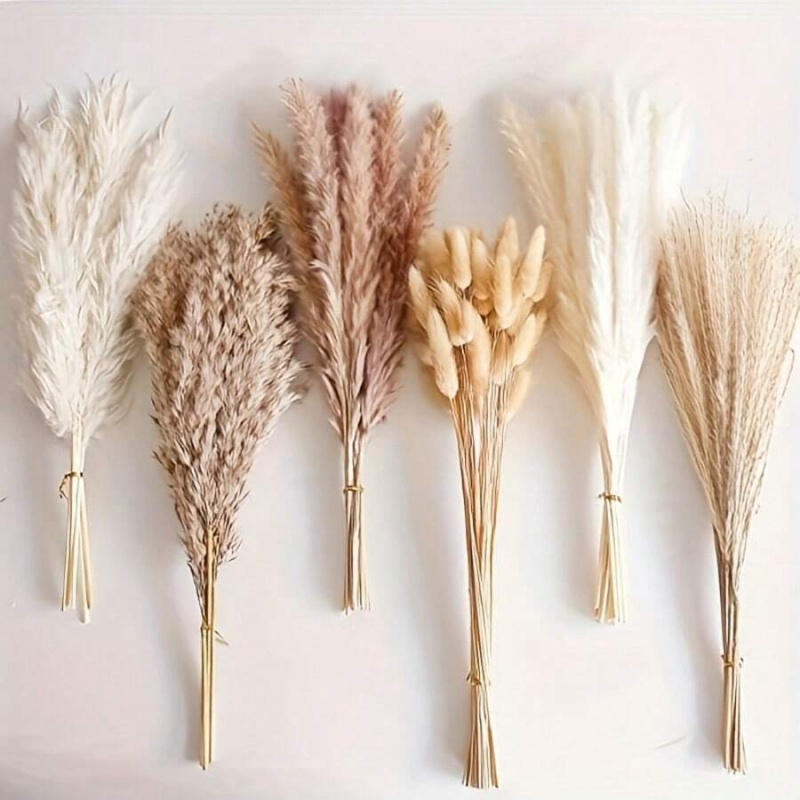 110pcs Dried Pampas Grass Bouq - Pampas Grass Decor recension och pris