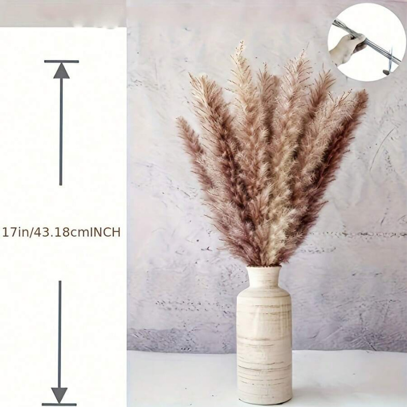 110pcs Dried Pampas Grass Bouq - Pampas Grass Decor recension och pris