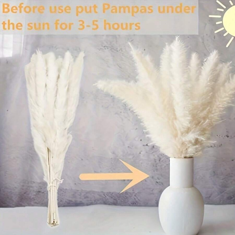 110pcs Dried Pampas Grass Bouq - Pampas Grass Decor recension och pris