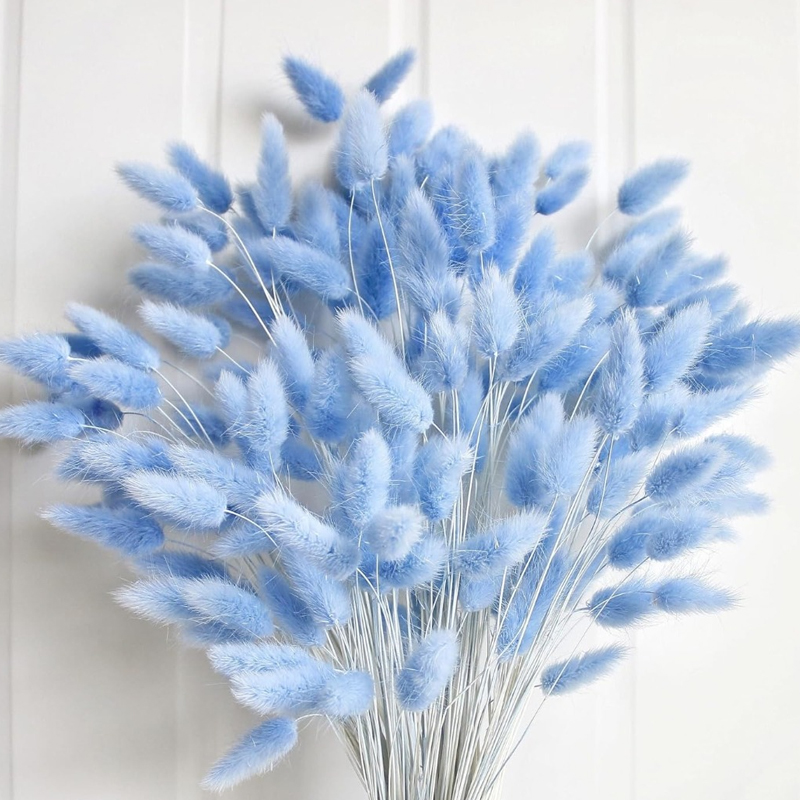100PCS Blue Hare's-tail Grass  - Pampas Grass Decor recension och pris
