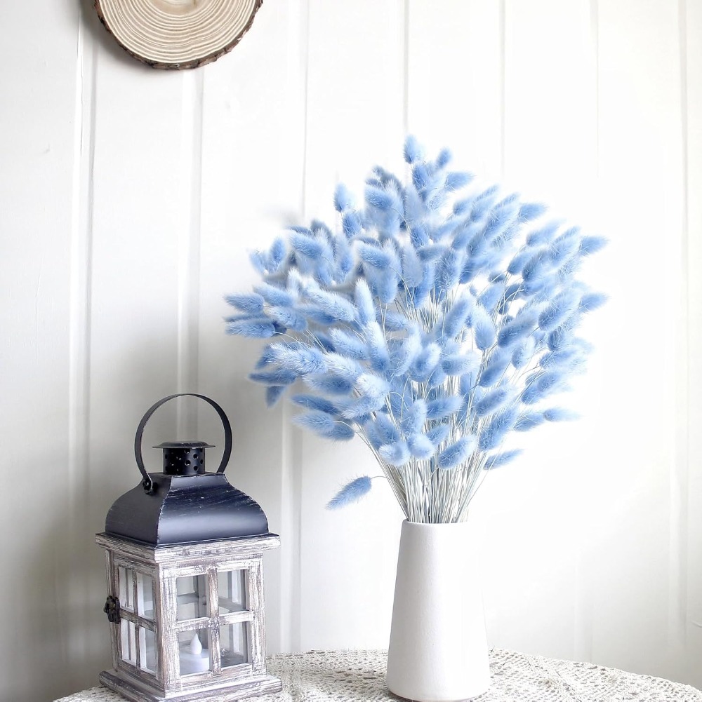 100PCS Blue Hare's-tail Grass  - Pampas Grass Decor recension och pris