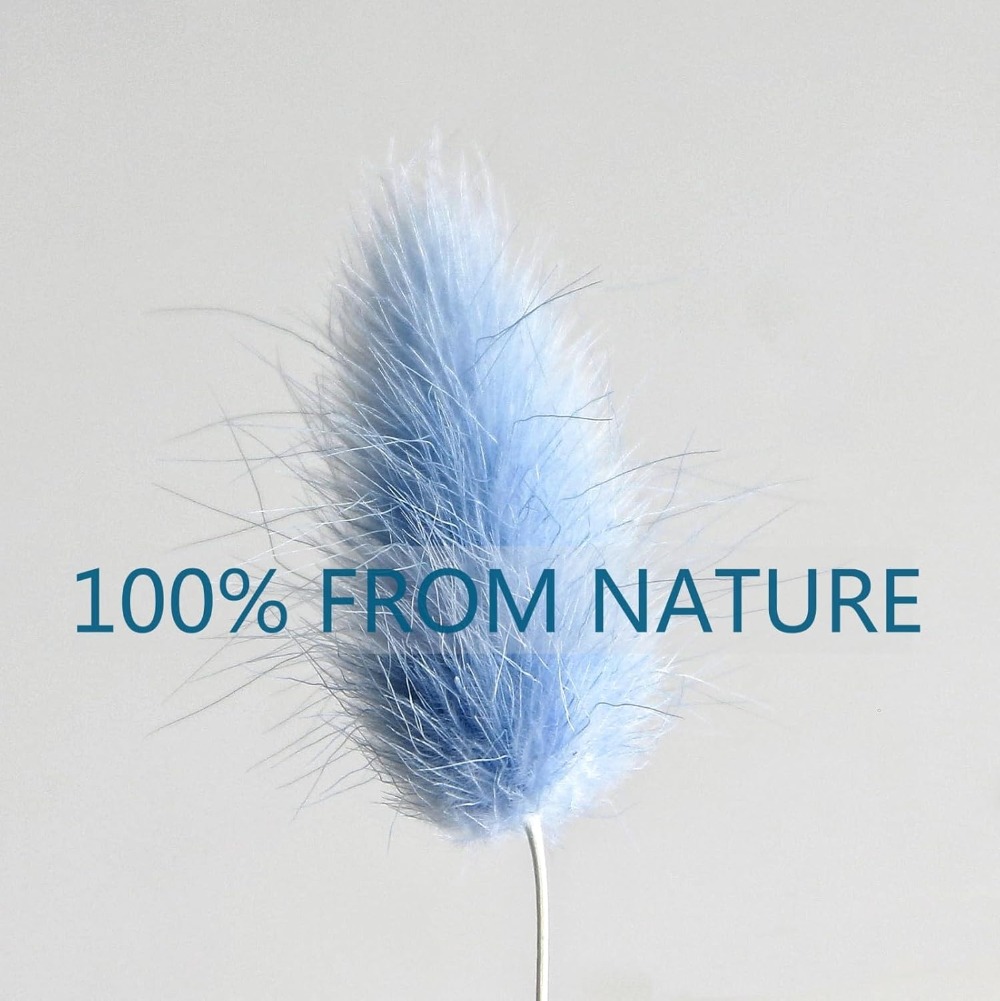 100PCS Blue Hare's-tail Grass  - Pampas Grass Decor recension och pris