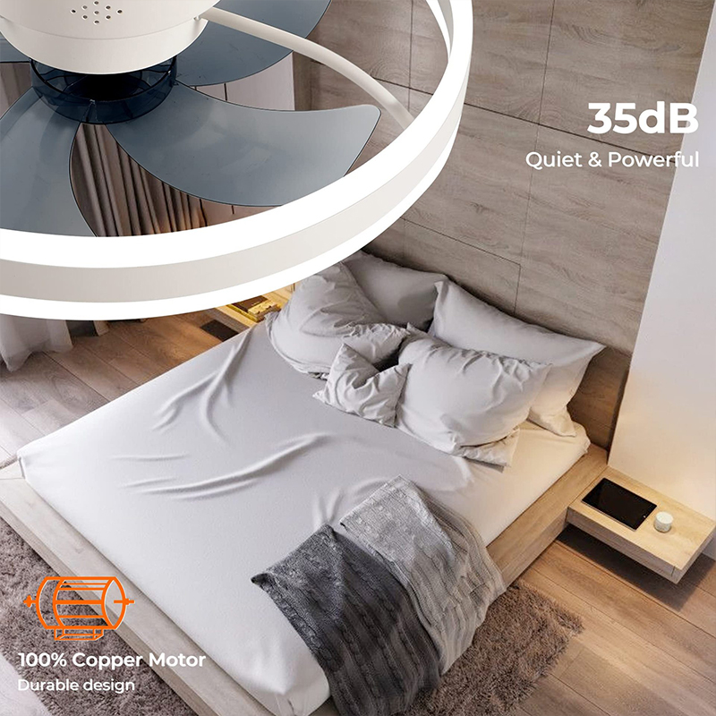 LED Ceiling Light Fan With APP - Home Decor Free App recension och pris