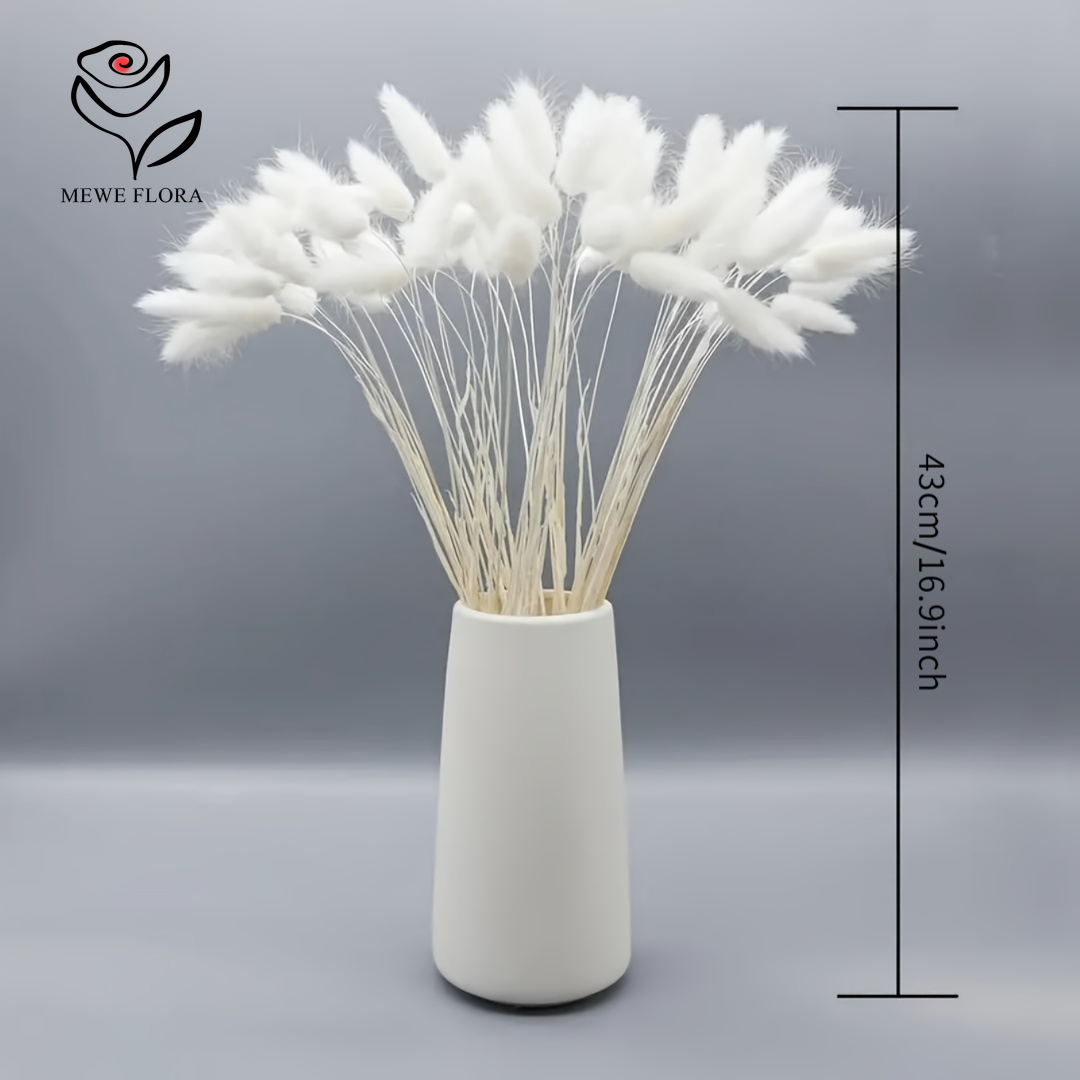 150PCS White Natural Fluffy Ra - Pampas Grass Decor recension och pris